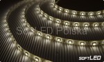 5 metrów - taśma wodoodporna 300 LED 3528 Epistar Premium