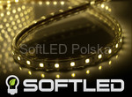 1 metr - taśma KETAI 60 LED 5050 Epistar 230V